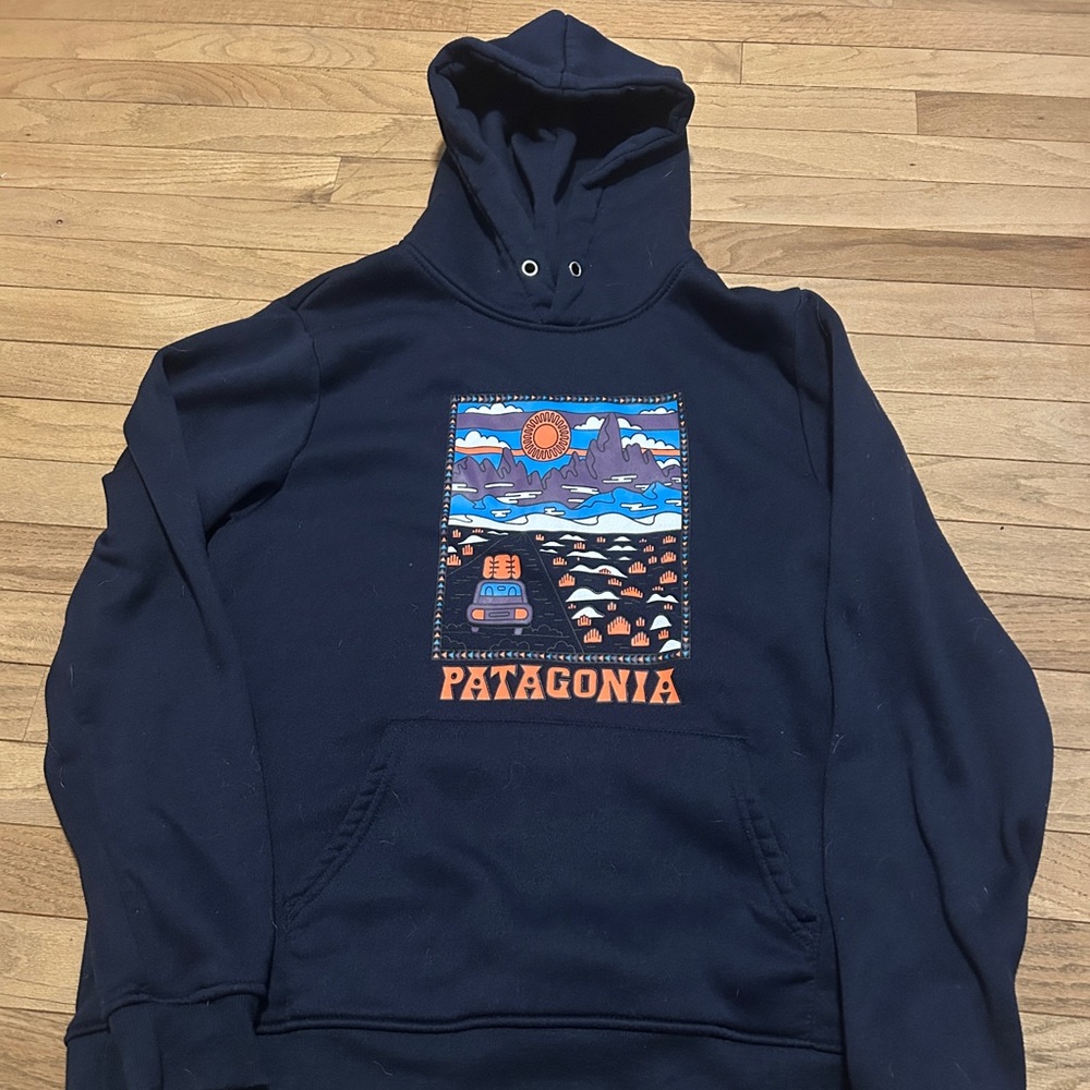 Patagonia Hoodie